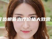 牙齿根管治疗价格大致需要多少钱(牙齿根管治疗手术到底需要多少钱)