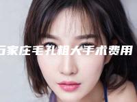 石家庄毛孔粗大手术费用需要是多少_石家庄毛孔粗大价格一般多少