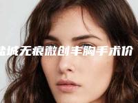 盐城无痕微创丰胸手术价格因素-盐城无痕微创丰胸手术的价格和什么有关