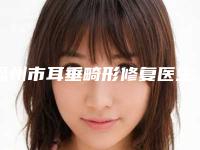 福州市耳垂畸形修复医生排名榜口碑擅长对比查看-杨进医生实力口碑专业点评