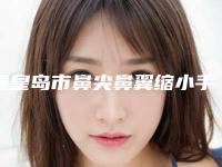 秦皇岛市鼻尖鼻翼缩小手术价格(费用)清单医生推荐_手术一览-秦皇岛市鼻尖鼻翼缩小手术价格为什么不一致