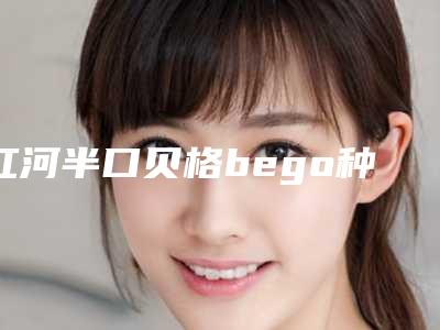 红河半口贝格bego种植牙整形后遗症有吗