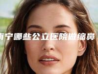 南宁哪些公立医院做缩鼻孔比较正规?