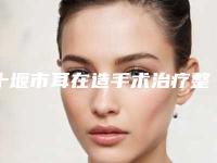 十堰市耳在造手术治疗整形医院top10排名哪家效果好(湖北十堰海菲医学整形美容中心实力有保障)