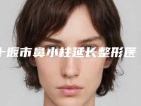 十堰市鼻小柱延长整形医生在榜清单top10强占领头条-十堰市鼻小柱延长整形医生