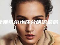 北京维尔小庄分院溶玻尿酸手术价格多少合理