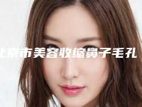 北京市美容收缩鼻子毛孔医院-北京市收缩鼻子毛孔医院排名榜前十强实力大推荐