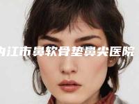内江市鼻软骨垫鼻尖医院排名top10强名单产生-内江市鼻软骨垫鼻尖整形医院