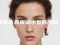 内蒙古鼻翼缩小整形医院排名前五,让你拥有完美鼻型!