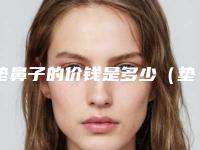 垫鼻子的价钱是多少(垫鼻子的价格一般都是多少钱)