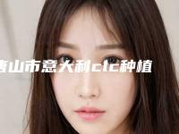 唐山市意大利clc种植体医院在榜名单前十佳预测(唐山中冀牙博士口腔门诊部(远洋城机构)备受美誉)