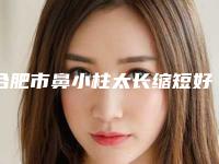 合肥市鼻小柱太长缩短好点的医院-安医附二院整形科口碑top人气汇总