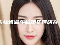 吉林省漏斗胸矫正医院在榜名单top10白名单-吉林省漏斗胸矫正整形医院