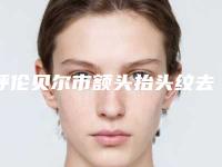 呼伦贝尔市额头抬头纹去除医生上榜名单私立医美技术出圈-盖燕楠医生当地口碑超好