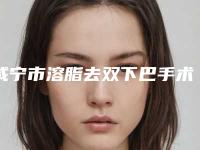 咸宁市溶脂去双下巴手术价目表2025_正规-咸宁市溶脂去双下巴手术真实价格