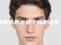 固原市西吉县干细胞植发整形医院口碑实力排名榜