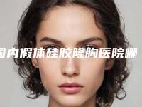 国内假体硅胶隆胸医院哪家强：假体硅胶隆胸医院前50强正规名单推荐