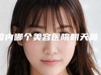国内哪个美容医院朝天鼻矫正整形术好：朝天鼻矫正整形术医院前50名快速查看