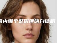 国内哪个整形医院自体脂肪填充面颊做的好:自体脂肪填充面颊医院前50谁比较厉害