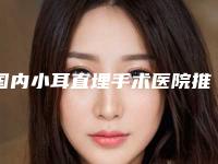 国内小耳直埋手术医院推荐:小耳直埋手术医院前50位走访
