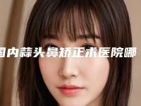 国内蒜头鼻矫正术医院哪家好:蒜头鼻矫正术医院top50强这几个不容错过