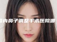 国内鼻子调整手术医院哪家好：鼻子调整手术医院top50名单大全一览