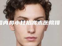 国内鼻小柱抬高术医院排行榜：鼻小柱抬高术医院top50强一一介绍
