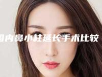 国内鼻小柱延长手术比较好的医院:鼻小柱延长手术医院50强新版名单一览