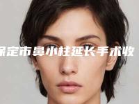 保定市鼻小柱延长手术收费标准公布 2025-保定市第五医院美容整形科需要价格大致是多少