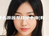 什么原因导致地中海(有地中海怎么办)