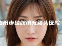 临汾市硅胶填充额头医院哪家好(临汾忆佳星整形医疗美容门诊部上榜机构各个实力不俗)