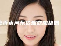 临沂市河东区玻尿酸垫眉弓整形医生较新排名,2025年三亚市河东区玻尿酸垫眉弓的官方认证机构