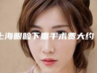 上海眼睑下垂手术费大约多少钱_上海眼睑下垂手术一般多少钱