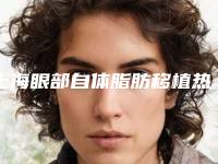 上海眼部自体脂肪移植热门医院资料与评价概览(排名前五)