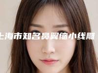 上海市知名鼻翼缩小线雕医院哪家比较好-上海交大附属第九人民医院浦东分院整形美容科技术特别靠谱