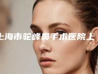 上海市驼峰鼻手术医院上榜名单都是哪家-上海市驼峰鼻手术整形医院