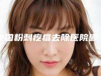 中国粉刺疙瘩去除医院哪里好：粉刺疙瘩去除医院前50名经验丰富