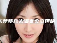 东莞整容去哪家公立医院最有名气医生(东莞有哪些整容医院比较好)