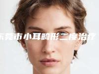 东莞市小耳畸形二度治疗医院排名实力突出-东莞容咏新医疗美容诊所这十家实力不俗