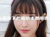 东营市下巴脂肪丰费用表明细完整版曝光(下巴脂肪丰均价为：17230元)