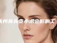 抚州鼻头变小术会影响工作吗_抚州鼻头变小会不会影响哺乳和生育
