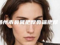 扬州市鼻翼肥厚鼻端肥厚切除价格(费用)清单全新版大公开-扬州市鼻翼肥厚鼻端肥厚切除手术一般费用大致是多少