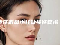 枣庄市鼻小柱缺损修复术医院排名榜前十名名单一览-枣庄盛世华美美容门诊部网友-靠谱