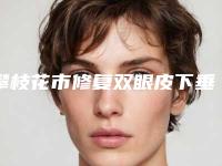 攀枝花市修复双眼皮下垂手术医院排名榜前十强呈现(攀枝花市修复双眼皮下垂手术整形医院)