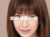 整形隆鼻价格