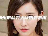 朔州市动刀去除眼袋费用表明细全新大曝光（朔州市动刀去除眼袋大概价格要多少）