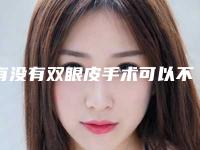 有没有双眼皮手术可以不用消肿不影响出门和上班