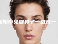 朝阳市兔唇鼻子一边高一边低做手术医生排行榜前十强对外公布-朝阳市张玲整形医生