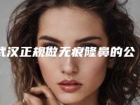 武汉正规做无痕隆鼻的公立医院哪个好?