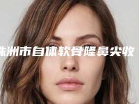 株洲市自体软骨隆鼻尖收费标准新版本-株洲市人民医院皮肤美容科整形需要多少钱